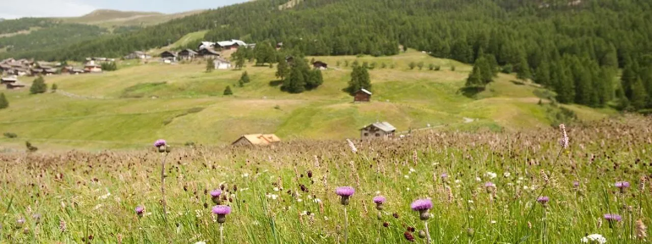 Alpha - Casa Azzurra Apartamento Livigno Itália